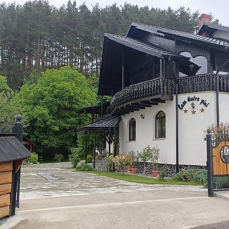 Casa Dintre Pini Villa Păltinoasa Exterior foto