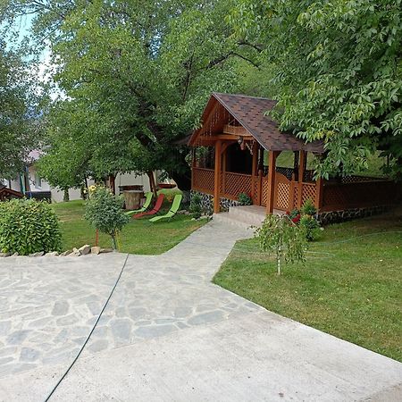 Casa Dintre Pini Villa Păltinoasa Exterior foto