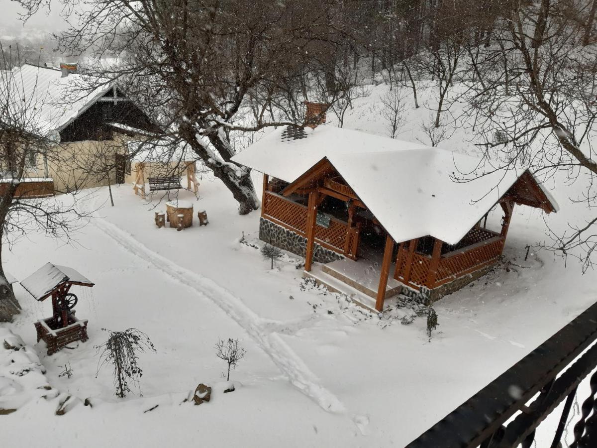 Casa Dintre Pini Villa Păltinoasa Exterior foto