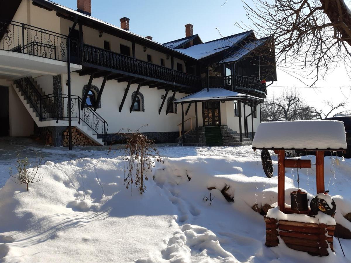 Casa Dintre Pini Villa Păltinoasa Exterior foto