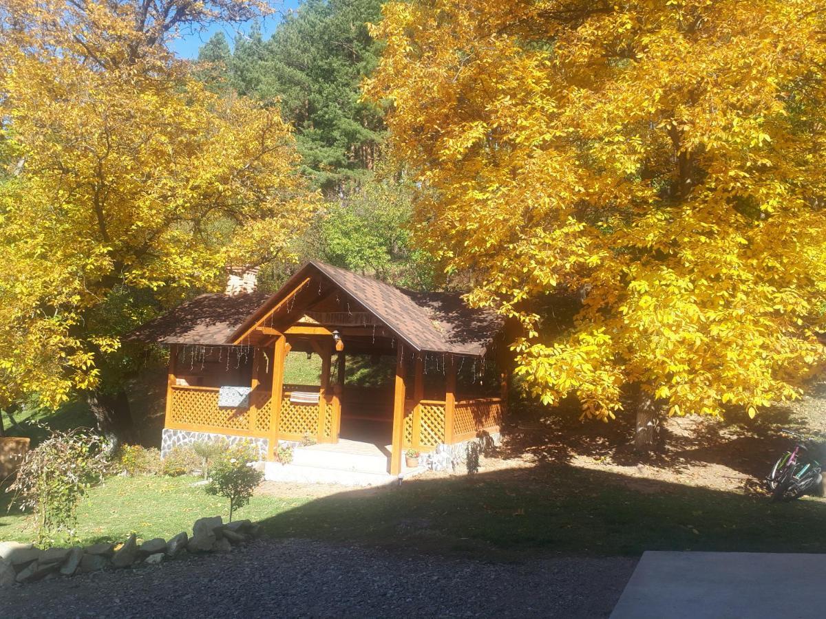 Casa Dintre Pini Villa Păltinoasa Exterior foto