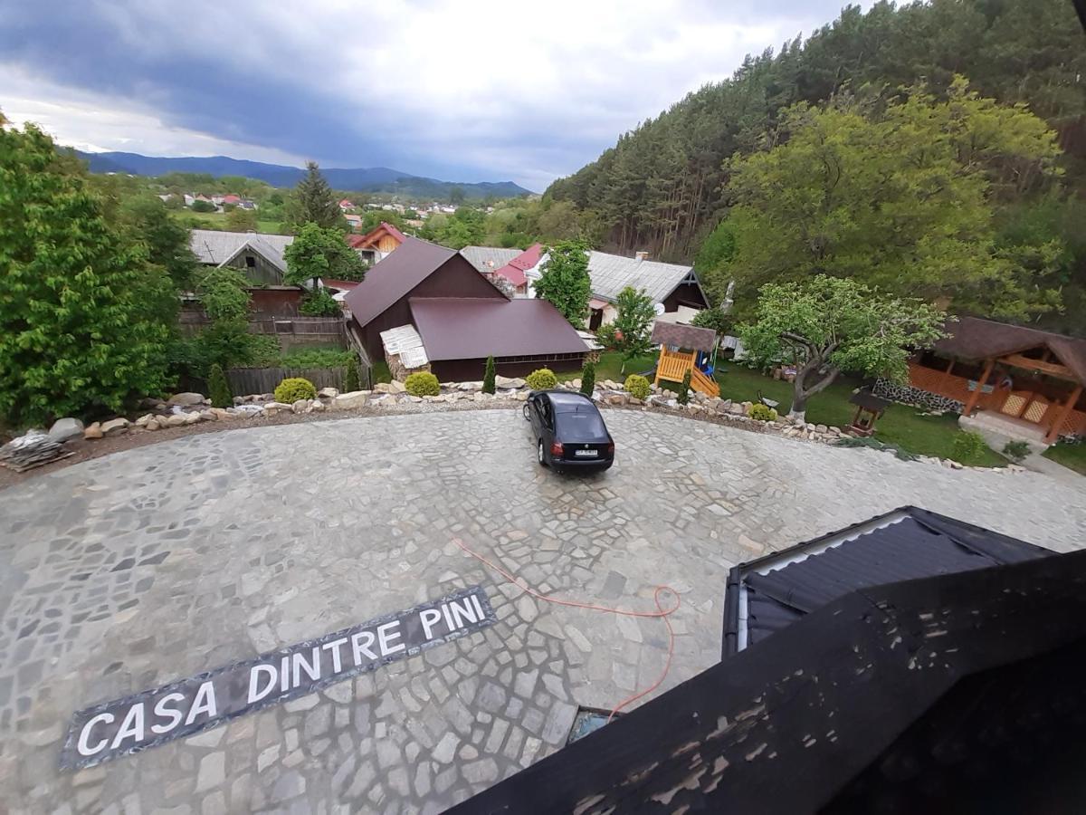 Casa Dintre Pini Villa Păltinoasa Exterior foto