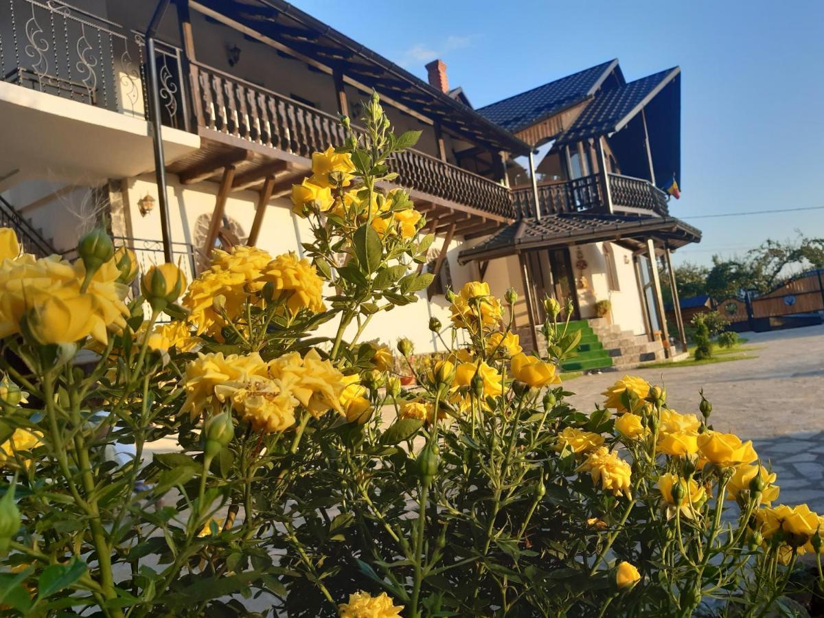 Casa Dintre Pini Villa Păltinoasa Exterior foto