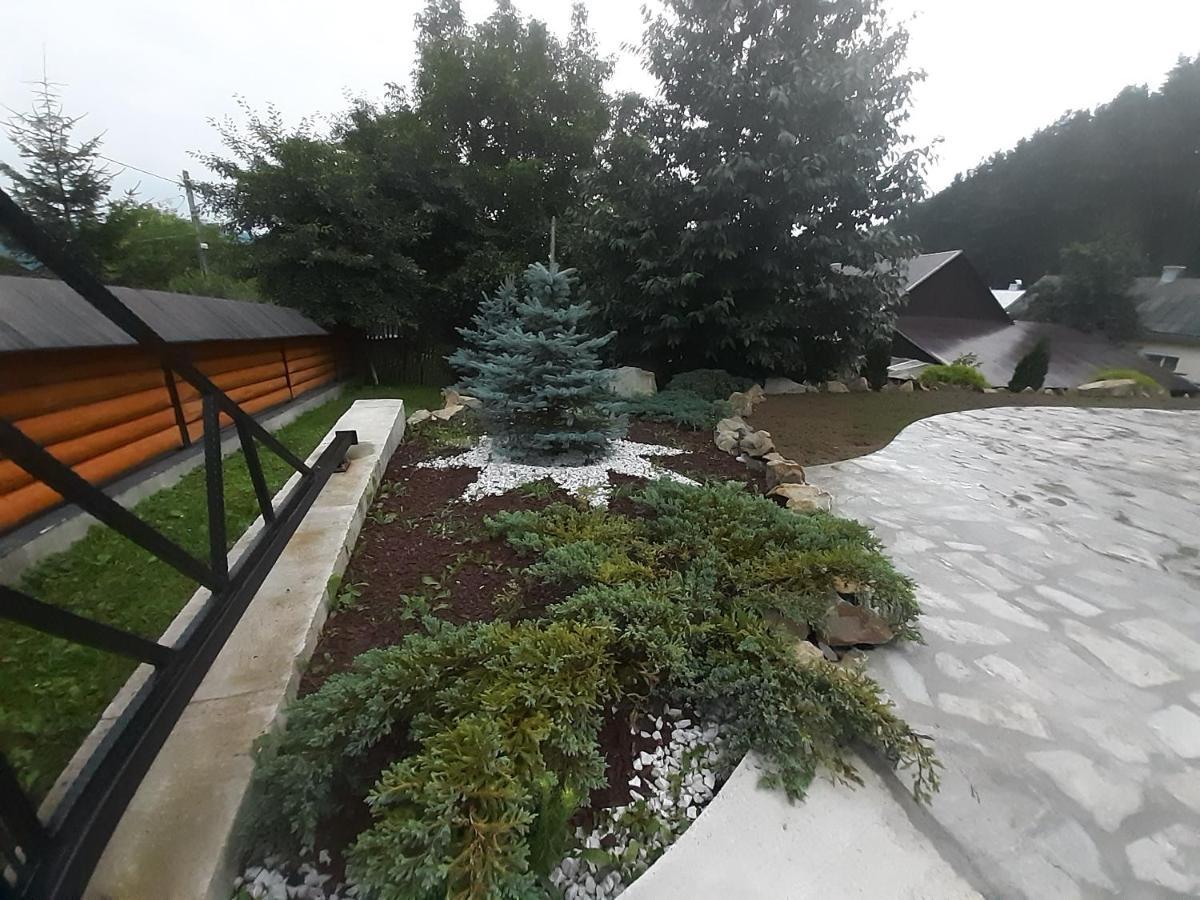 Casa Dintre Pini Villa Păltinoasa Exterior foto