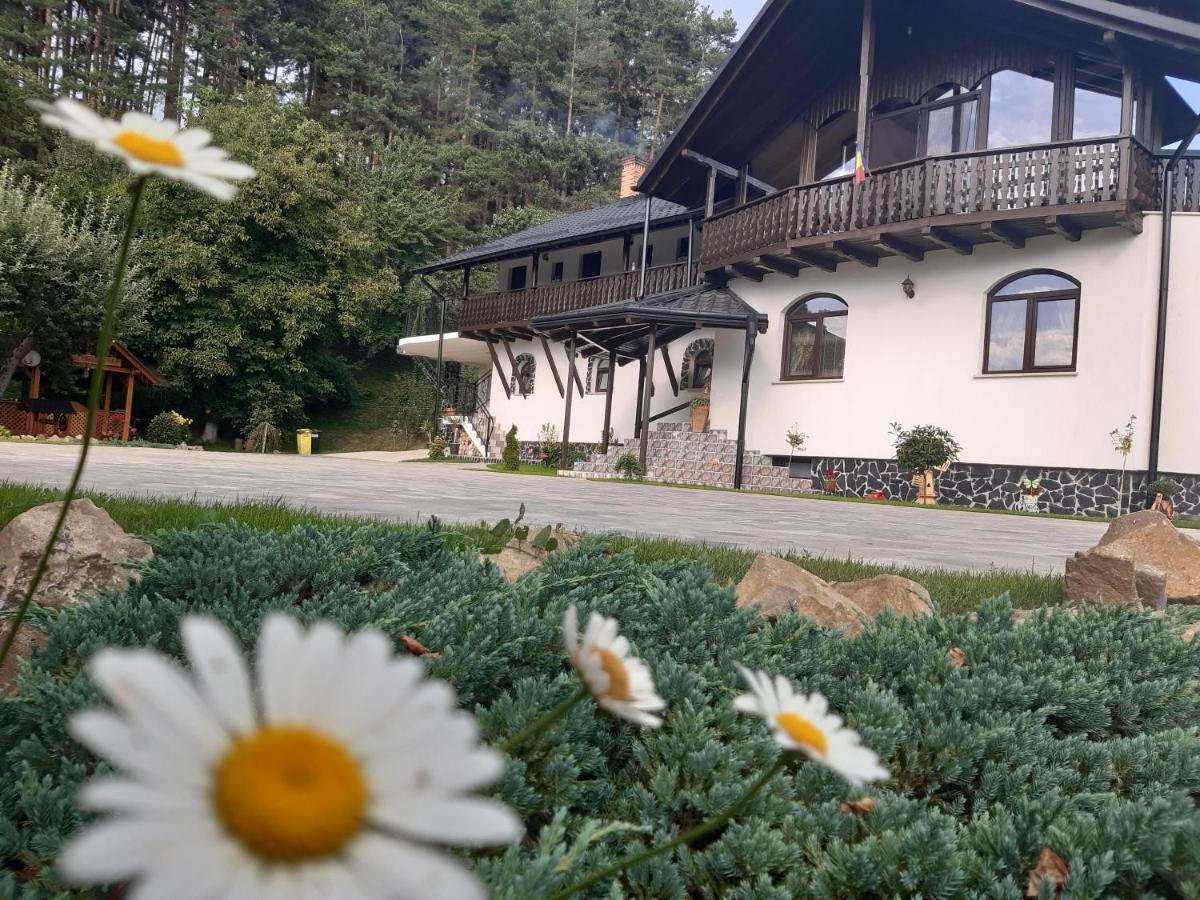 Casa Dintre Pini Villa Păltinoasa Exterior foto