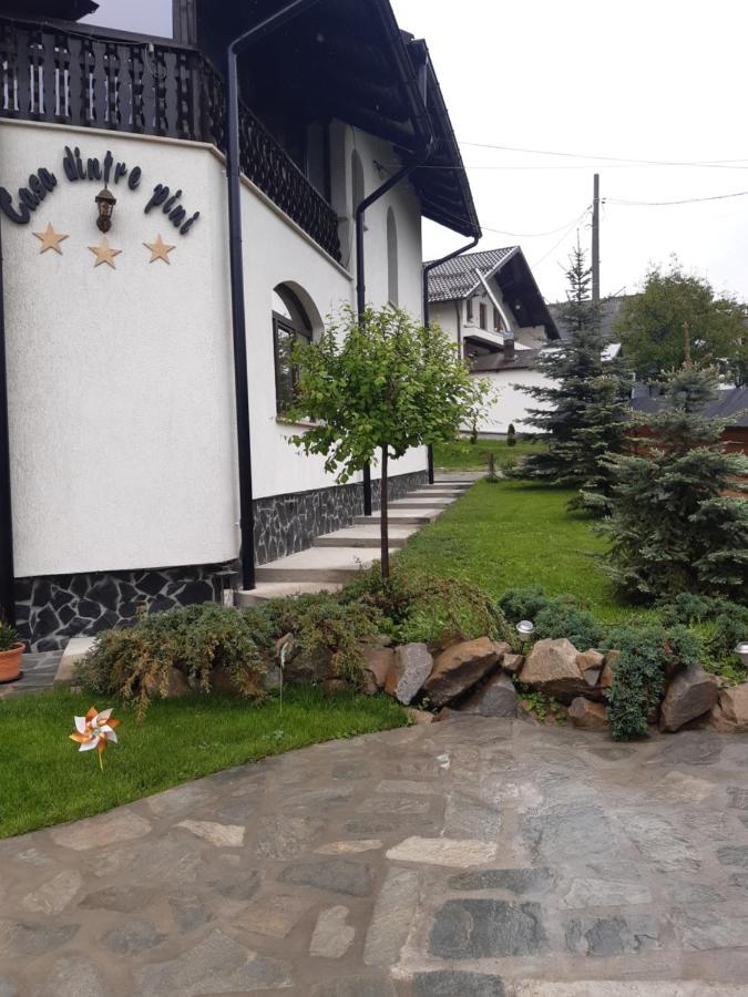 Casa Dintre Pini Villa Păltinoasa Exterior foto