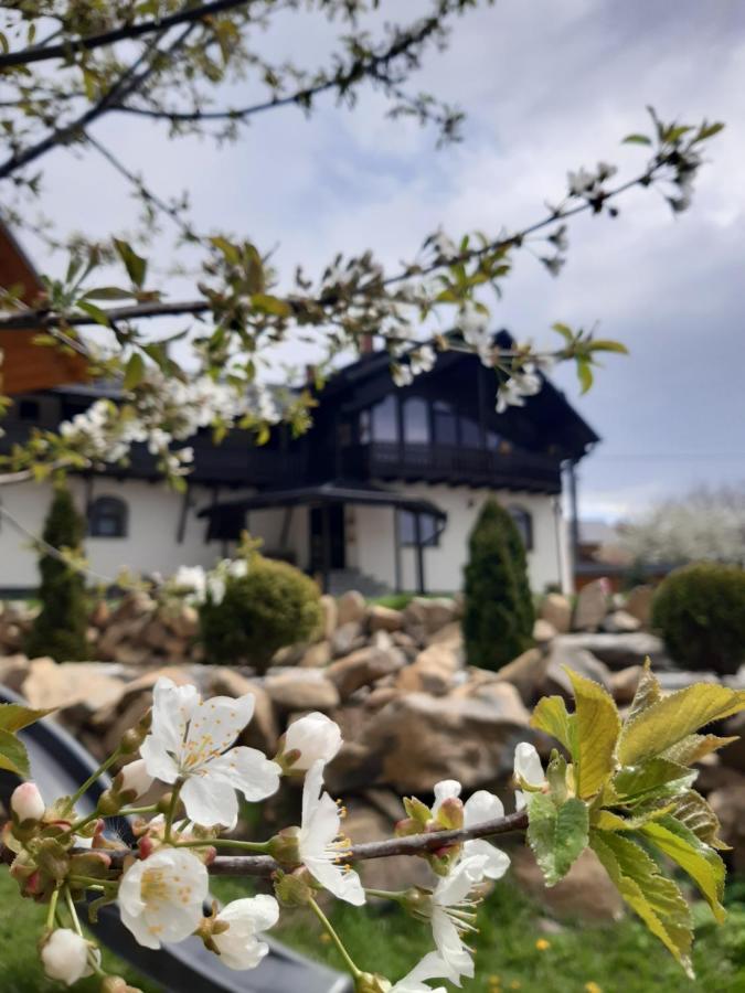Casa Dintre Pini Villa Păltinoasa Exterior foto