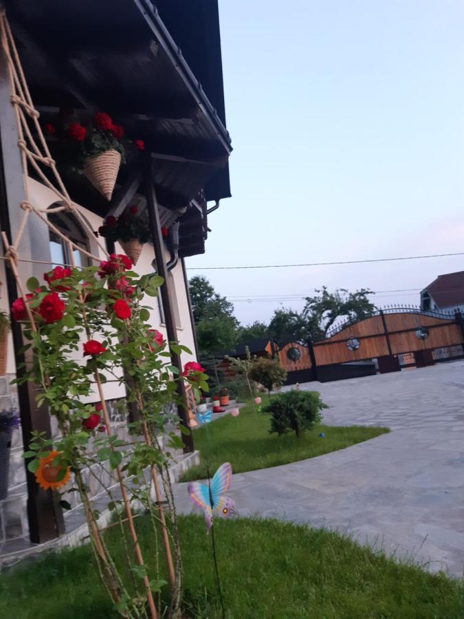 Casa Dintre Pini Villa Păltinoasa Exterior foto
