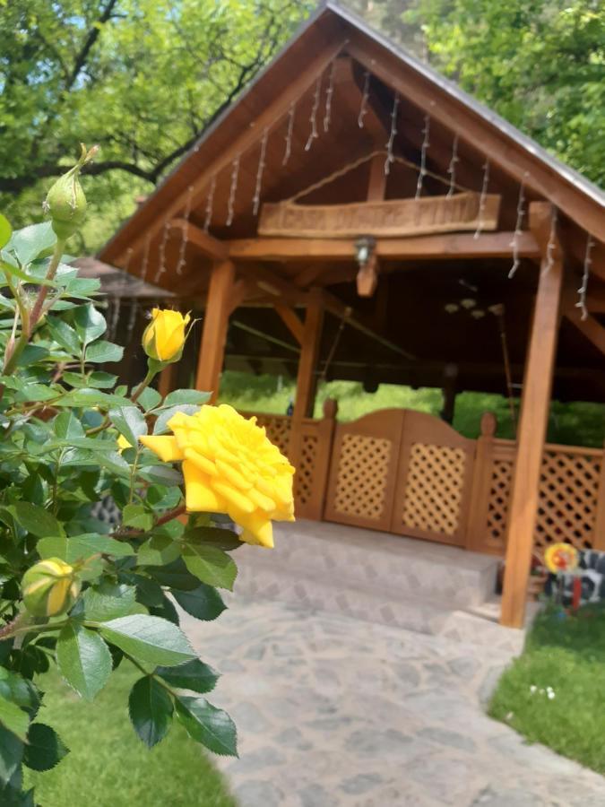 Casa Dintre Pini Villa Păltinoasa Exterior foto