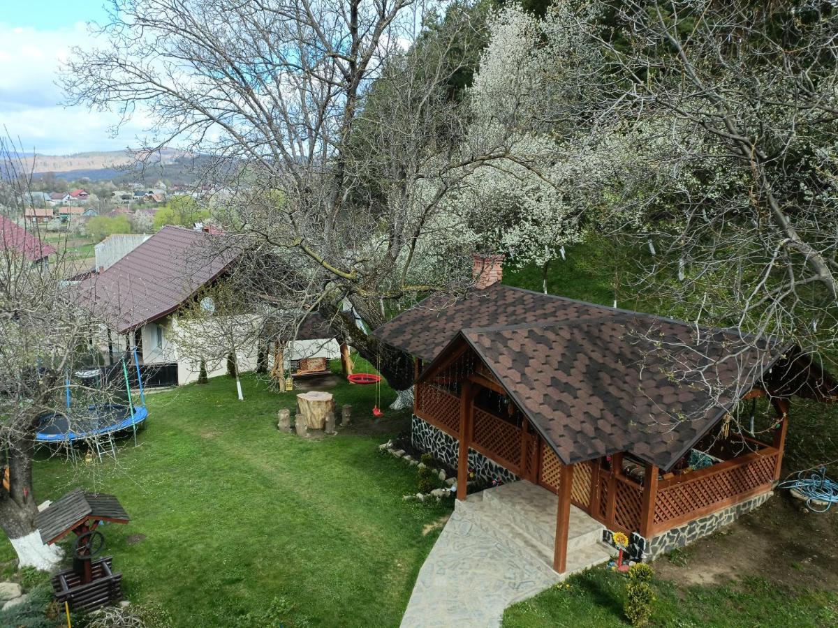 Casa Dintre Pini Villa Păltinoasa Exterior foto