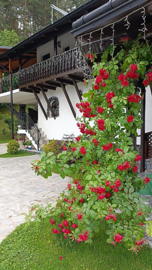Casa Dintre Pini Villa Păltinoasa Exterior foto