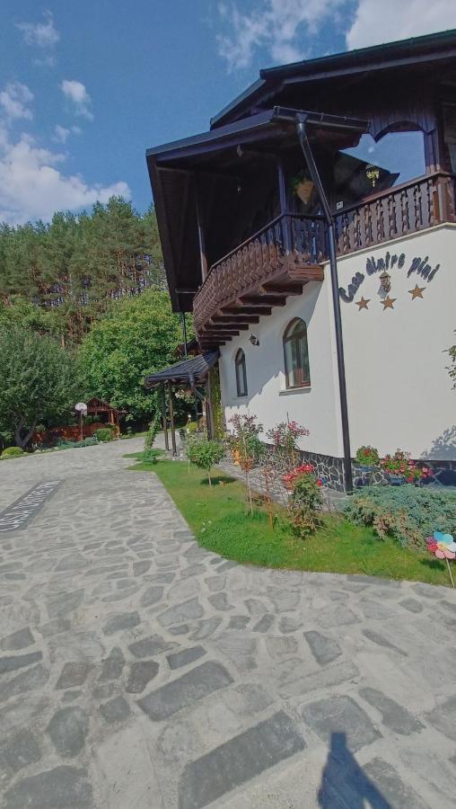 Casa Dintre Pini Villa Păltinoasa Exterior foto